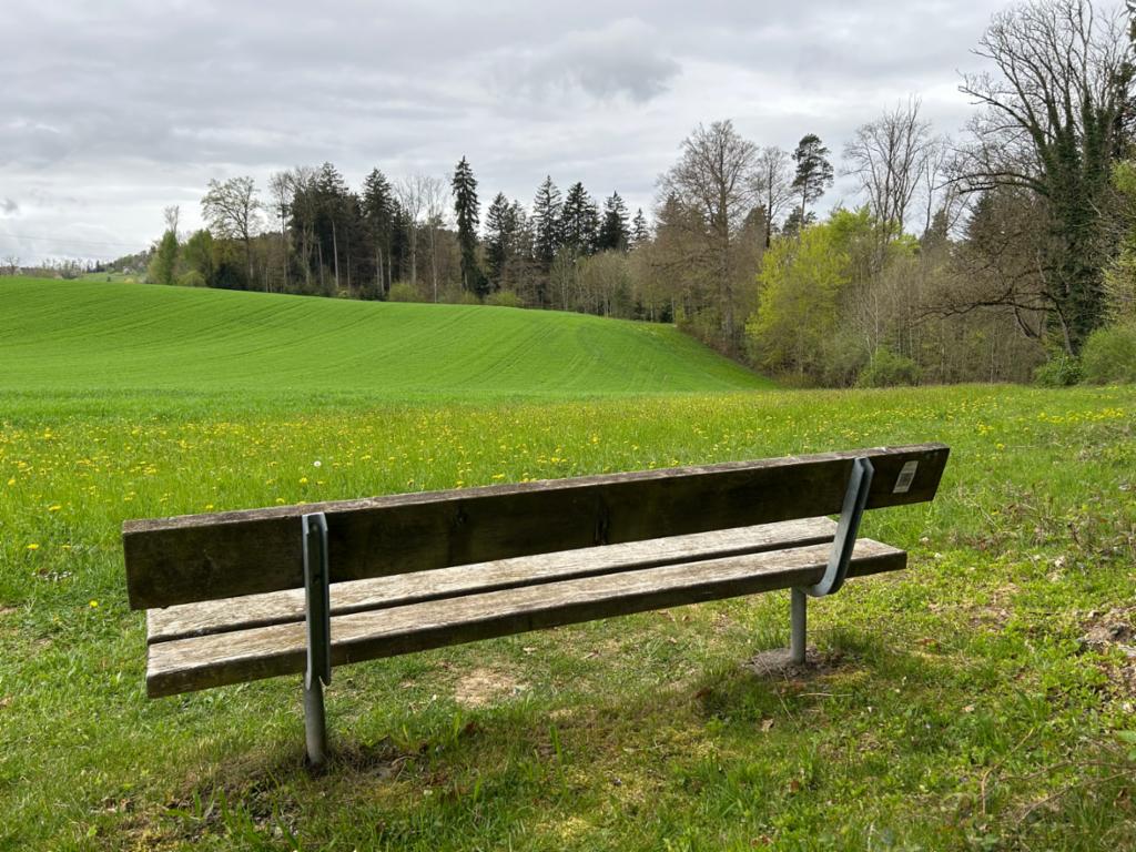 Bancs Wollenau (ZU)